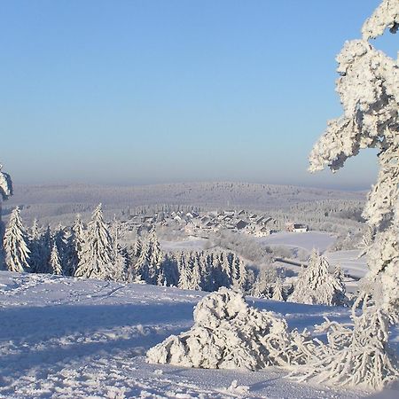 Romantik Berghotel Astenkrone Winterberg Ngoại thất bức ảnh