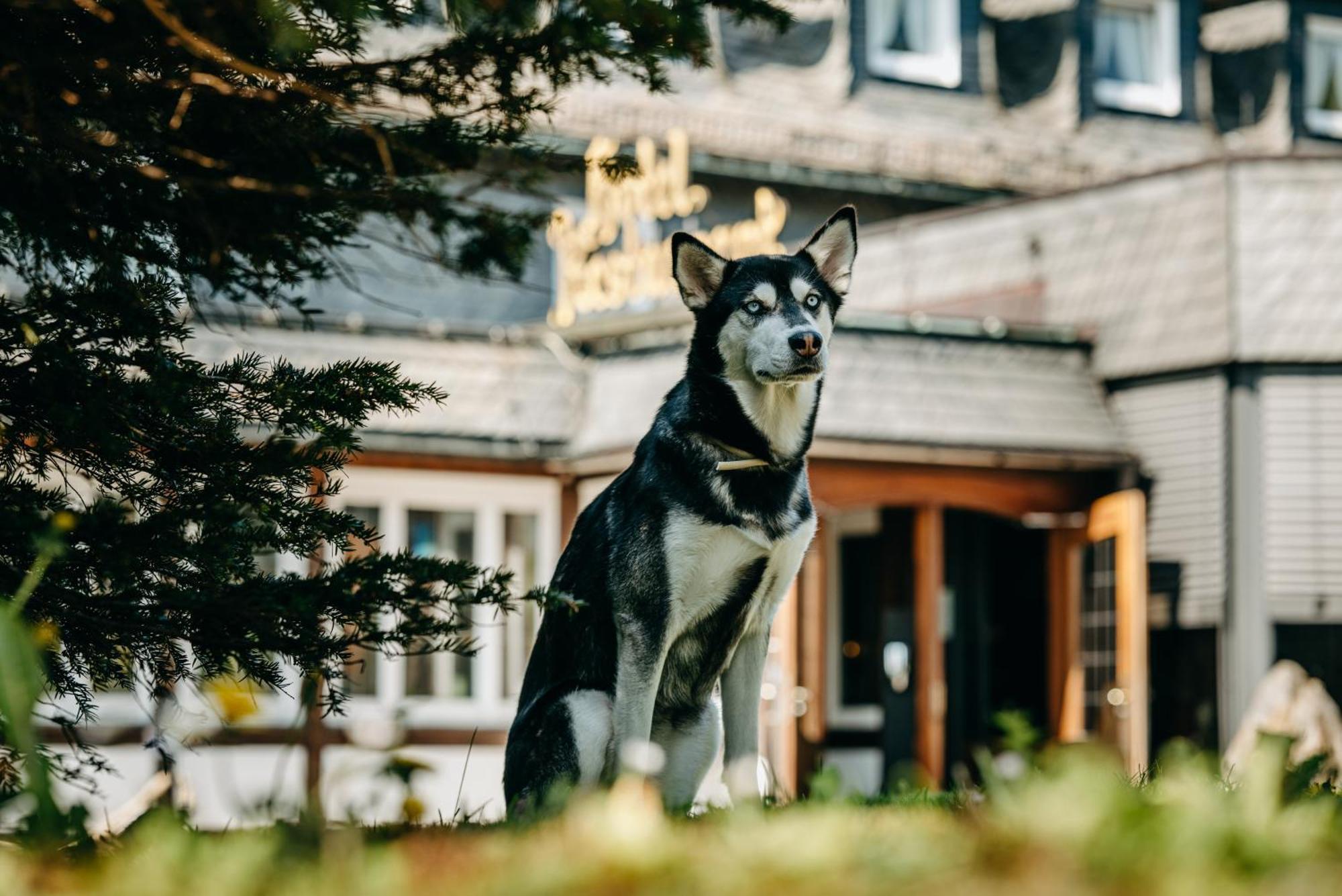 Romantik Berghotel Astenkrone Winterberg Ngoại thất bức ảnh